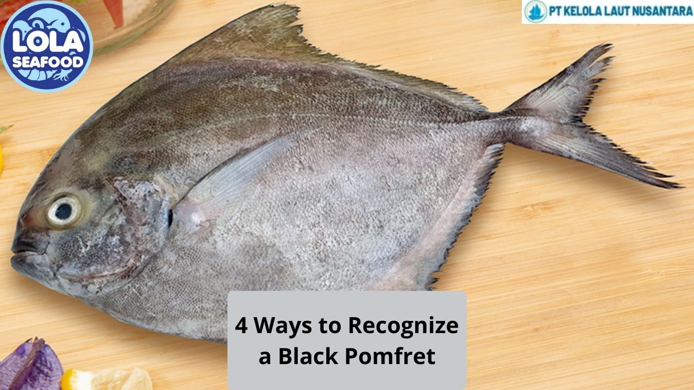 4 Ways to Recognize a Black Pomfret